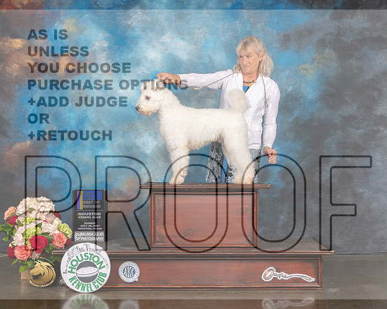 Pumik #5 Sun Judge Sharon Newcomb-MMJ_1534-HOUSTON21-HR3