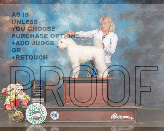 Pumik #5 Sun Judge Sharon Newcomb-MMJ_1538-HOUSTON21-HR3