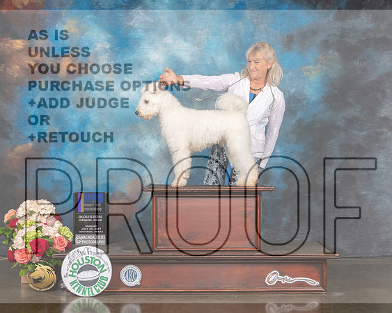 Pumik #5 Sun Judge Sharon Newcomb-MMJ_1540-HOUSTON21-HR3