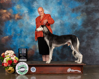Saluki #37 Sun SD Major Judge Molly Martin