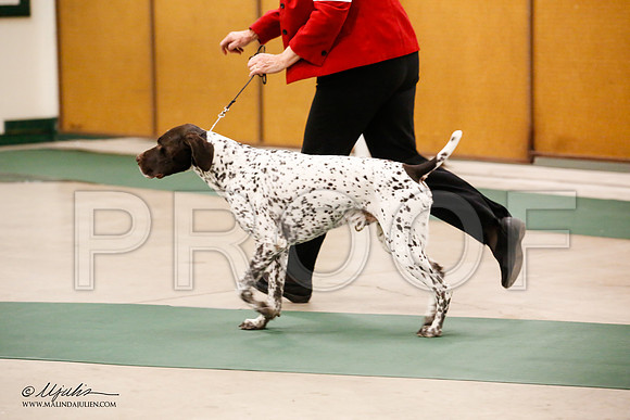 _JN_0782-NrmnNov2014-HR3