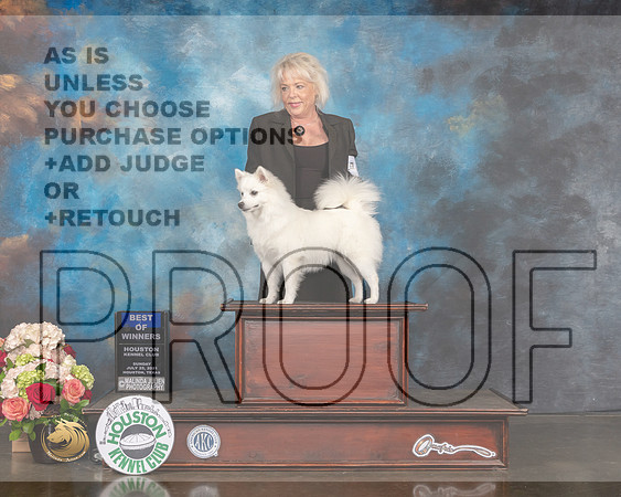 American Eskimo Dog #8 Sun BOW Judge Molly Martin-MMJ_1579-HOUSTON21-HR3