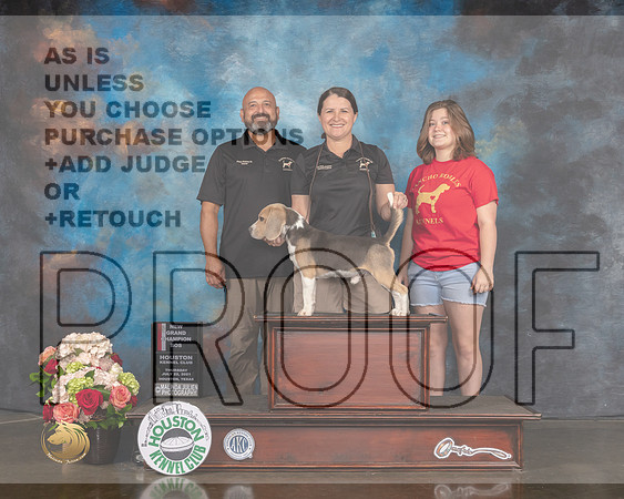 Beagle 13 #5 Thurs BOS NGCH Judge Rosalind Kramer-MMJ_1567-HOUSTON21-HR3