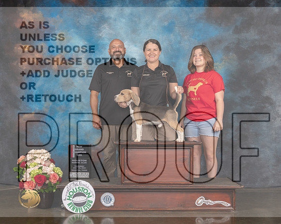 Beagle 13 #5 Thurs BOS NGCH Judge Rosalind Kramer-MMJ_1570-HOUSTON21-HR3
