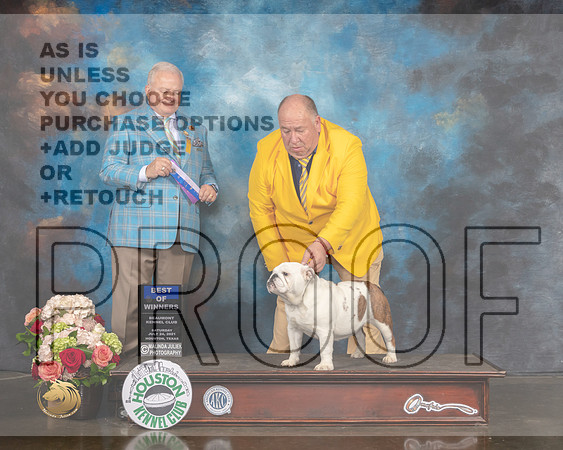 Bulldog #14 Sat BOW Judge Dennis Mccoy-MMJ_1717-HOUSTON21-HR3