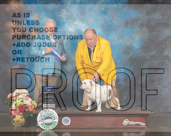 Bulldog #14 Sat BOW Judge Dennis Mccoy-MMJ_1719-HOUSTON21-HR3