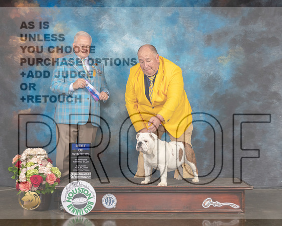 Bulldog #14 Sat BOW Judge Dennis Mccoy-MMJ_1721-HOUSTON21-HR3