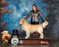 Golden #27 Sun BOW Major Judge Peggy Beisel