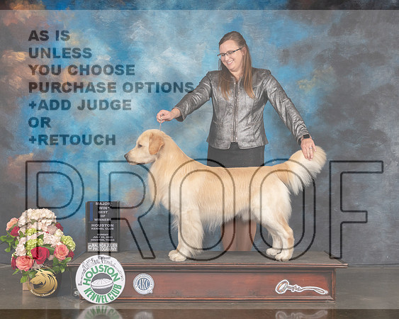 Golden #27 Sun BOW Major Judge Peggy Beisel-MMJ_1692-HOUSTON21-HR3