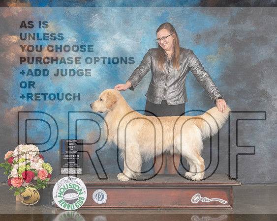 Golden #27 Sun BOW Major Judge Peggy Beisel-MMJ_1695-HOUSTON21-HR3
