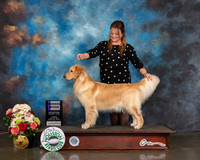 Golden #6 Sun WB Judge Peggy Beisel