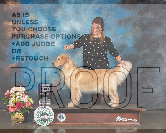 Golden #6 Sun WB Judge Peggy Beisel-MMJ_1700-HOUSTON21-HR3