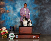 Havanese #25 Sun WD BW Major Judge Sharon Newcomb