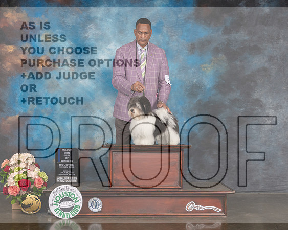 Havanese #25 Sun WD BW Major Judge Sharon Newcomb-MMJ_1675-HOUSTON21-HR3