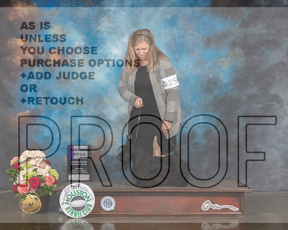 Scottish Terrier #26 Sun WB Sweeps Judge Rosalind Kramer-MMJ_1650-HOUSTON21-HR3