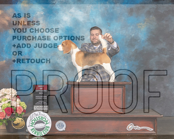 Beagle 15 #32 Sun BOS Judge Joseph Gregory-MMJ_1807-HOUSTON21-HR3