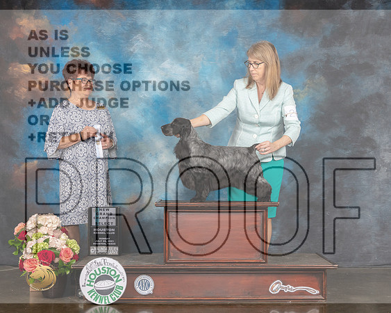 English Cocker Spaniel #26 Sun NCH Select Judge Debbie Melgreen-MMJ_1833-HOUSTON21-HR3