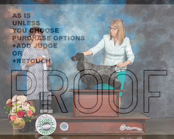 English Cocker Spaniel #26 Sun NCH Select Judge Debbie Melgreen-MMJ_1841-HOUSTON21-HR3