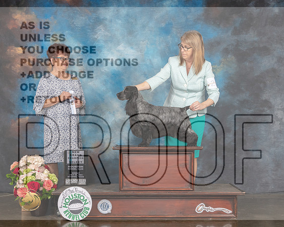 English Cocker Spaniel #26 Sun NCH Select Judge Debbie Melgreen-MMJ_1843-HOUSTON21-HR3