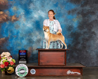Shina Inu #8 Sun WB BOW BOS Judge Evalyn Gregory