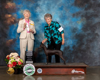 Xoloitzcuintli #32 Sun SB Judge Sharon Newcomb