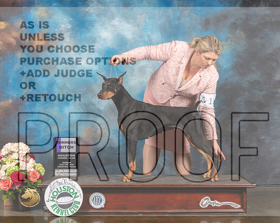 Doberman Pinscher #14 Saturday WB Judge David Haddock-MMJ_1886-HOUSTON21-HR3