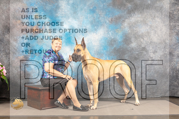 Great Dane #11 SAT CUSTOM_MJ_6249_Houston_2022_HR3