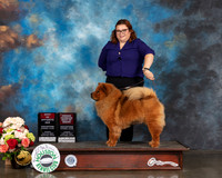 Chow Chow #8 Sun BOS OHBOB Judge Evalyn Gregory