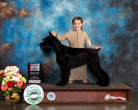Giant Schnauzer #6 Sun WB BOS Judge Steve Keating
