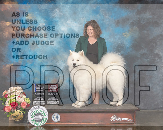 Samoyed #19 Sun OHBOB BOW NCH Judge Steve Keating-MMJ_2027-HOUSTON21-HR3
