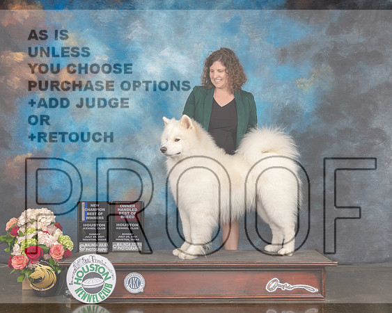 Samoyed #19 Sun OHBOB BOW NCH Judge Steve Keating-MMJ_2029-HOUSTON21-HR3