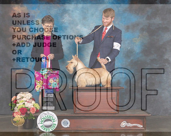 Scottish Terrier #7 Sun BOS BOW Major Judge Rosalind Kramer-MMJ_1978-HOUSTON21-HR3
