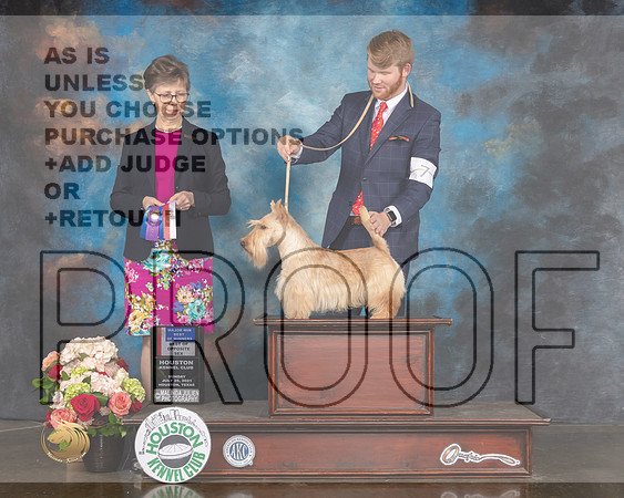 Scottish Terrier #7 Sun BOS BOW Major Judge Rosalind Kramer-MMJ_1983-HOUSTON21-HR3