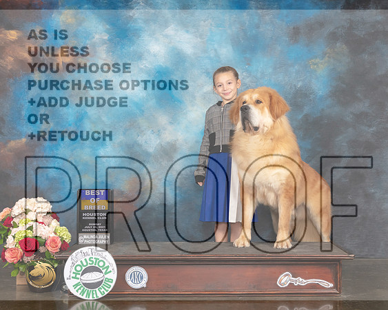 TIbetan Mastiff #5 Sun BOB Judge Steve Keating-MMJ_2018-HOUSTON21-HR3
