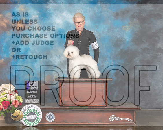 Bichon Frise #26 Sun WB Major Judge Raymond Filburn-MMJ_2058-HOUSTON21-HR3
