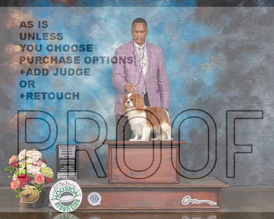 Cavalier King Charles Spaniel #25 Sun WB BOW Major Judge Randy Garren-MMJ_2104-HOUSTON21-HR3