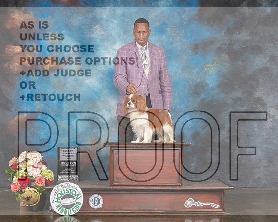 Cavalier King Charles Spaniel #25 Sun WB BOW Major Judge Randy Garren-MMJ_2105-HOUSTON21-HR3