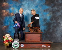 Dachshund Longhaired #16 Sun BOW NCH Judge Joseph Gregory