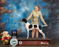 Pointer #6 Sun BOS Major Judge Peggy Beisel