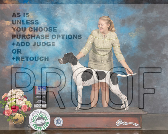 Pointer #6 Sun BOS Major Judge Peggy Beisel-MMJ_2092-HOUSTON21-HR3