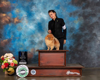 Pomeranian #27 Sun BOW major Judge Evalyn Gergory