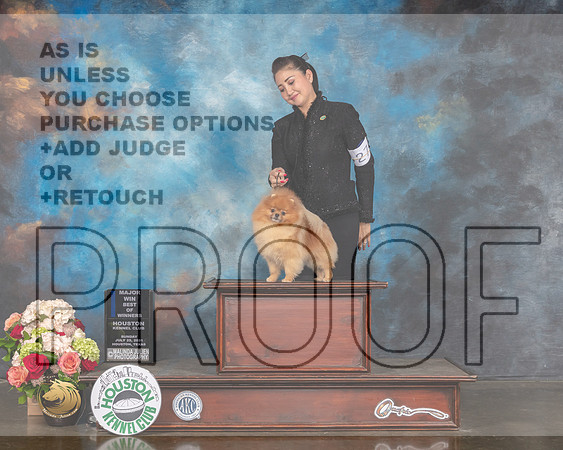 Pomeranian #27 Sun BOW major Judge Evalyn Gergory-MMJ_2110-HOUSTON21-HR3