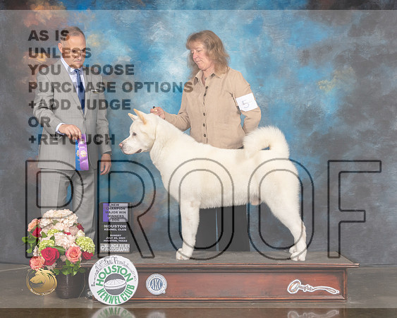 Akita #5 Sun WD NCH Major Judge David Haddock-MMJ_2141-HOUSTON21-HR3