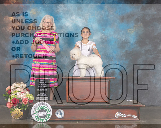 Bichon Frise #J6 Sun JS1st Judge Molly Martin-MMJ_2216-HOUSTON21-HR3