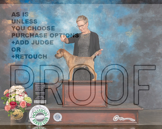 Border Terrier #5 Thurs NOHS G1 Judge Peggy Beisel-MMJ_2149-HOUSTON21-HR3