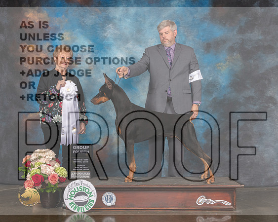 Doberman Pinscher #7 Sun G4 Judge Sherry Webster-MMJ_2246-HOUSTON21-HR3