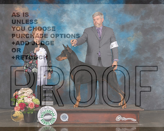 Doberman Pinscher #7 Sun G4 Judge Sherry Webster-MMJ_2243-HOUSTON21-HR3