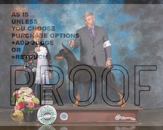 Doberman Pinscher #7 Sun G4 Judge Sherry Webster-MMJ_2250-HOUSTON21-HR3