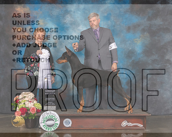 Doberman Pinscher #7 Sun G4 Judge Sherry Webster-MMJ_2251-HOUSTON21-HR3