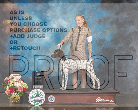 German Shorthaired Pointer #18 Fri WB BOW Major Judge Steve Keating-MMJ_2288-HOUSTON21-HR3